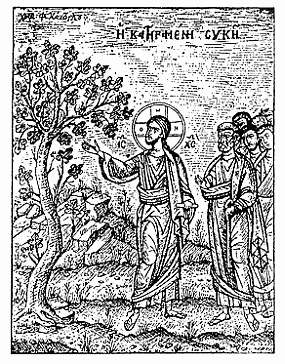 Jesus cursing the fig tree