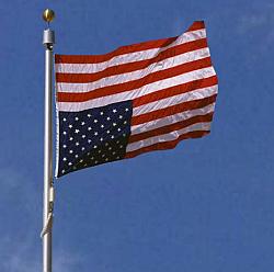 Flag, America in distress