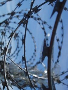 Razor wire