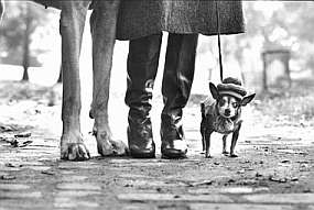 Elliot Erwitt's "Felix, Gladys, and Rover" - 1974