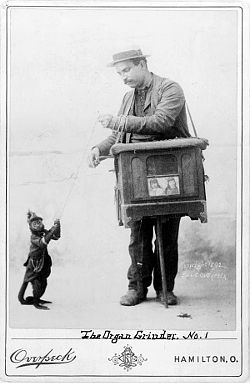 Organ Grinder and Monkey