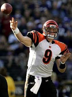 Carson Palmer