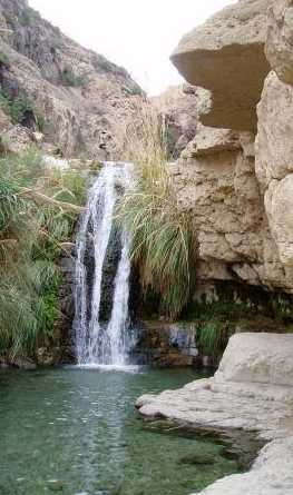 A stream in the desert